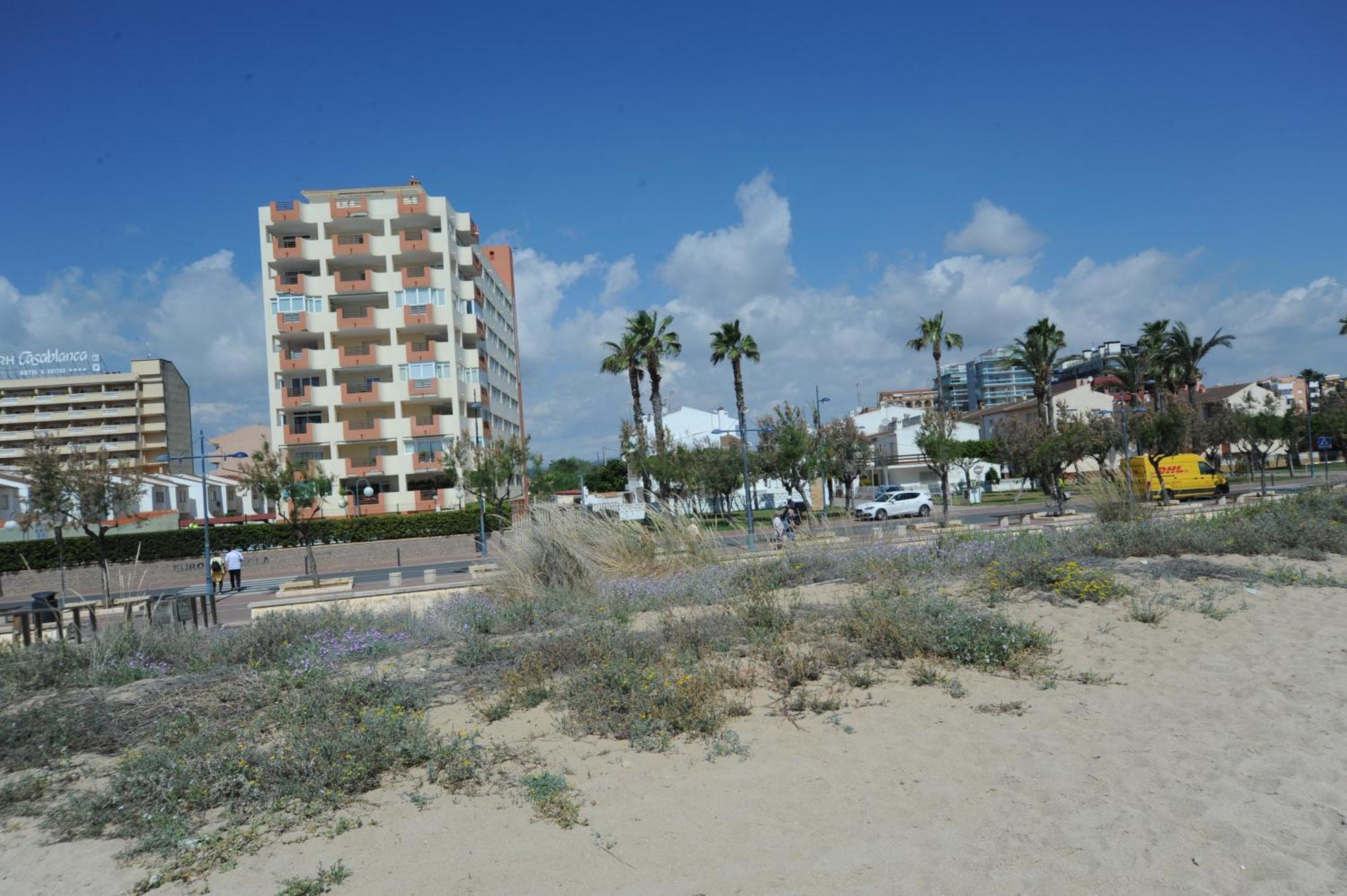 Europeniscola Orangecosta Apartment Exterior photo